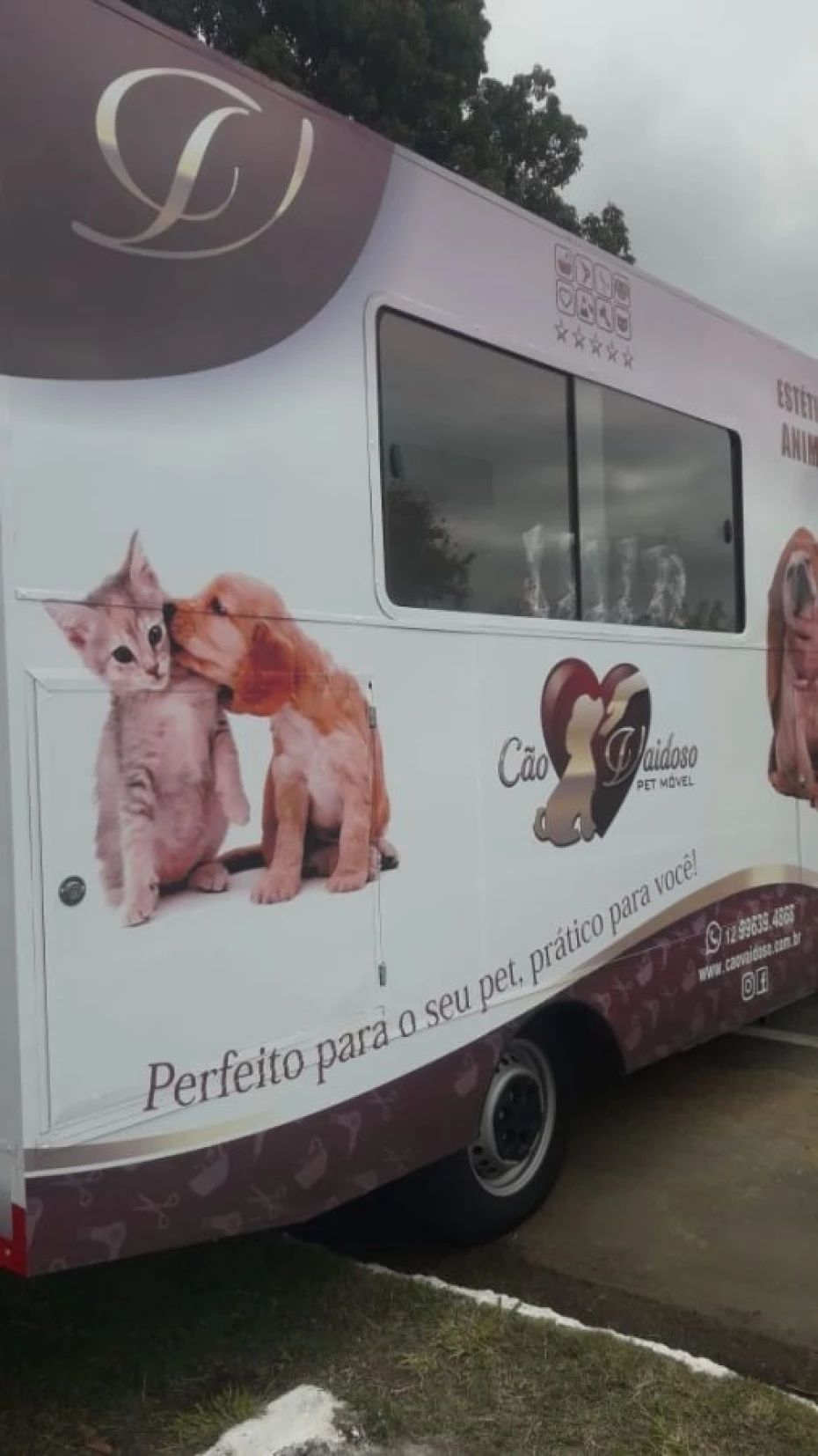 Foto 5:  — Cão Vaidoso Taxi Dog e Pet Móvel - Banho e Tosa